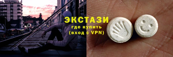 ECSTASY Богородицк